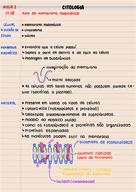 SOLUTION Aula 2 Parte 1 Membrana Plasm Tica Citologia Studypool