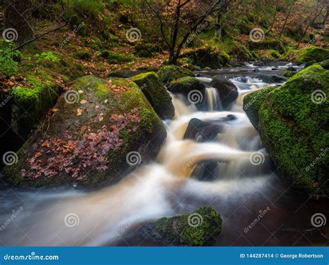 Waterfalls on a Small Brook Stock Photo - Image of nature, motion ...