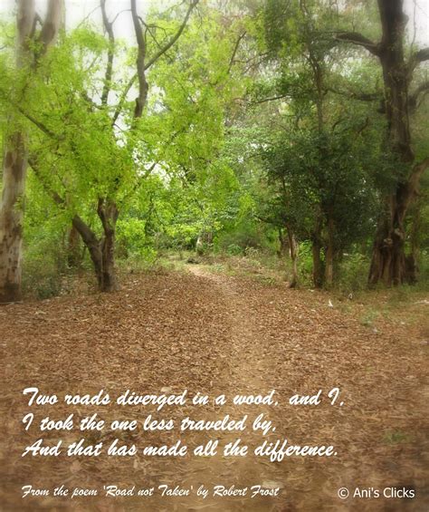 Exploring Myself: Two roads diverged in a yellow wood.....