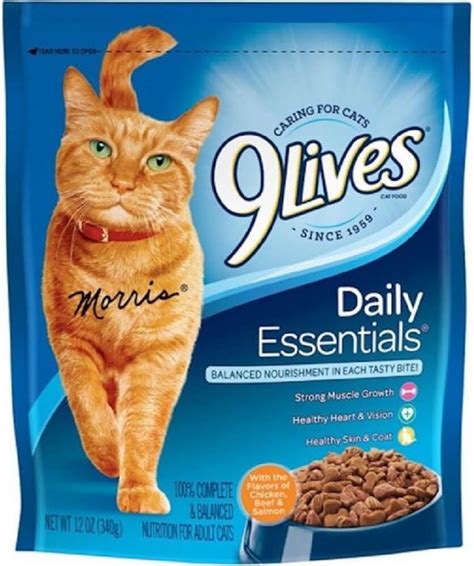 The Best 9 Lives Cat Food Pack Home Tech Future