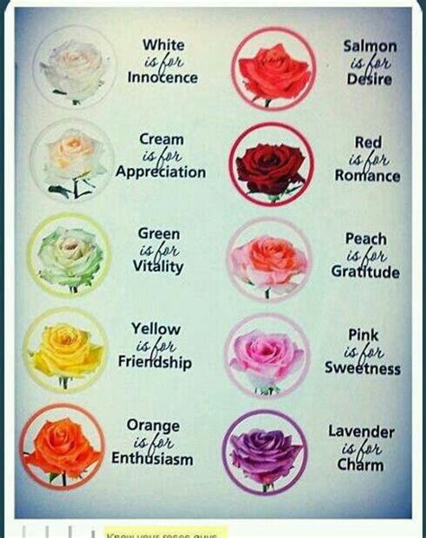 Rose Color Meanings Rose Color Meanings Flower Meanings Birth Month