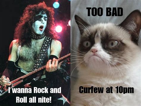 Grumpy Cat Meets Kiss Grumpy Cat Know Your Meme