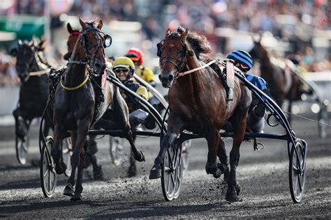 Samedi 02 12 à Vincennes Idao de Tillard très attendu