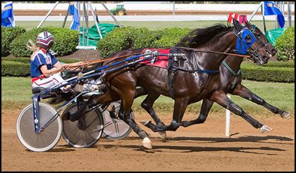 Unleashing The Power Of Usta Racing Entries And Results A Comprehensive Guide