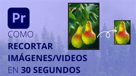 Recortar Crop Un Video O Una Imagen En Premiere Pro Youtube