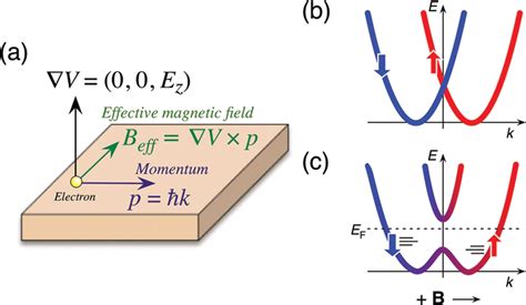 Anomalous Rashba Effect Of Bi Thin Film Studied By Spin Resolved Arpes