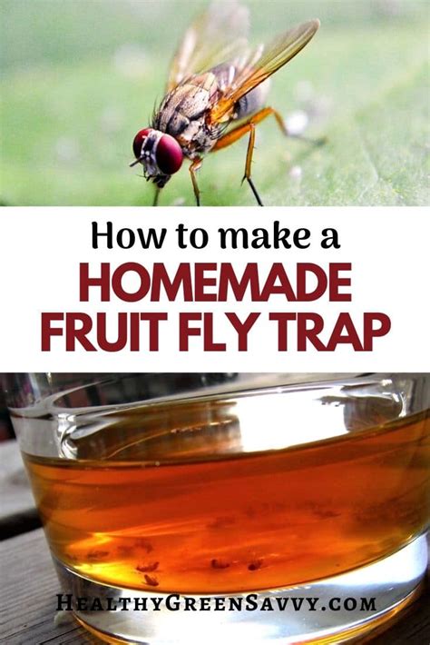 Homemade Fruit Fly Trap with Apple Cider Vinegar to Get Rid of Fruit Flies