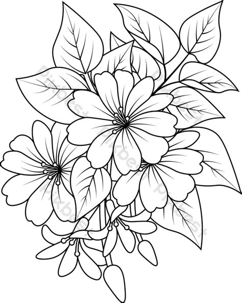 Flower Drawing Png Image Hd Png All