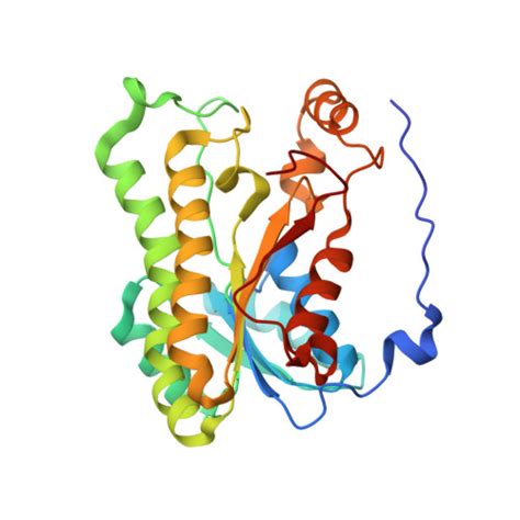 Rcsb Pdb Nbr Crystal Structure Of Oxoacyl Acyl Carrier Protein