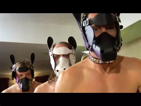 Studs Cum On Sexy Bitches In Group Sex After Fucking Their Cunts And Asses XHamster