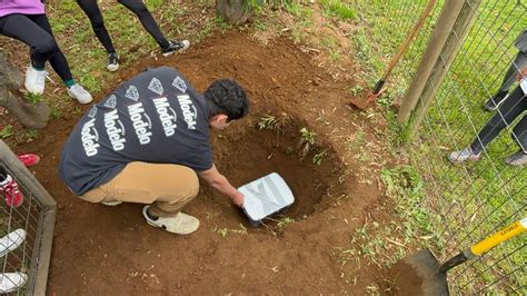 Semana De Despedida De Los Cuartos Medios Una Celebraci N Inolvidable Lyc E Claude Gay