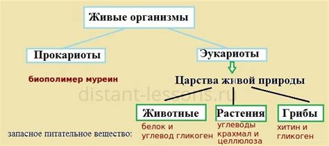 Химический состав клетки | Дистанционные уроки
