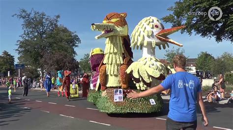 Video Meddo Wint Bloemencorso In Winterswijk Youtube