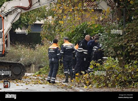 Sint Lievens Houtem B Lgica De Octubre De Imagen De