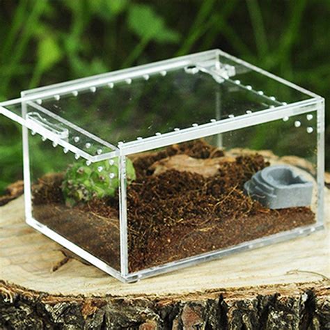 Clear Reptile Breeding Box Small Acrylic Terrarium Full View Visually