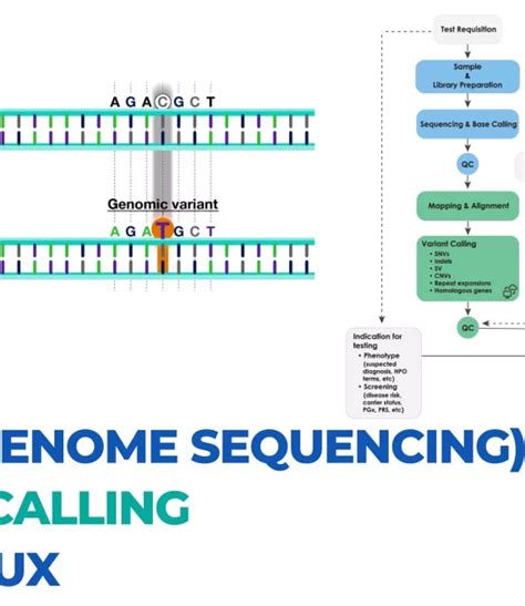 Cancer Genomics NGS Whole Genome Sequencing Variant Calling Using