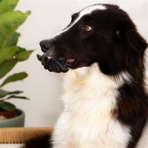 Brinquedo Lump Bigodón Nude para Cães