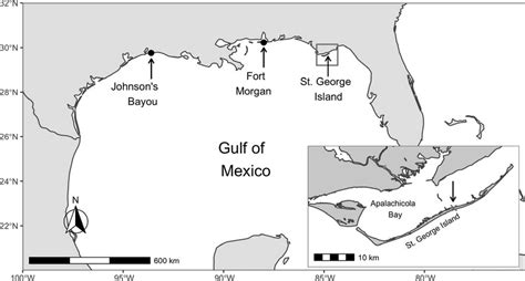 The Northern Gulf Of Mexico Provides Important Stopover Habitat For Download Scientific Diagram