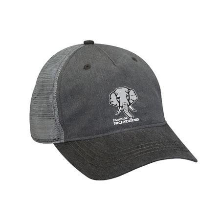 Parkside Endeavor Cap – High School Fan Stand