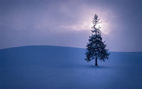 Wallpaper Sunlight Lake Reflection Sky Snow Winter Sunrise