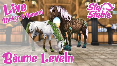 Star Stable SSO Live Hanami Und Birkir Leveln Server 11 Icy Palace