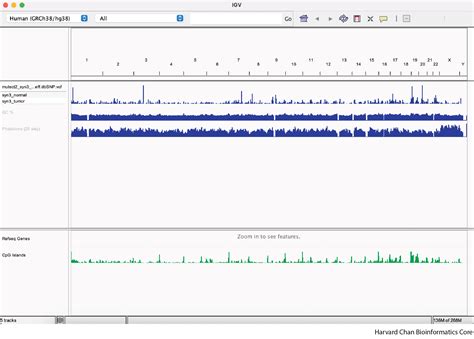 Integrative Genomics Viewer Variant Analysis