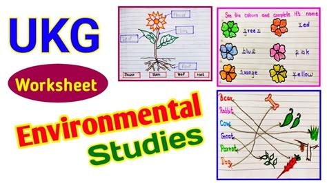 Ukg Evs Worksheet । Evs Worksheet For Ukg । Senior Kg Evs Worksheet