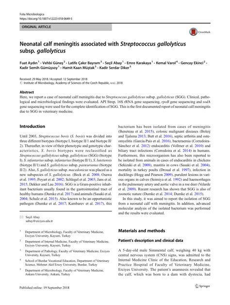 Pdf Neonatal Calf Meningitis Associated With Streptococcus