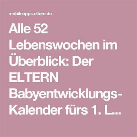 Faszinierend So Entwickelt Sich Dein Baby W Hrend Des Ersten