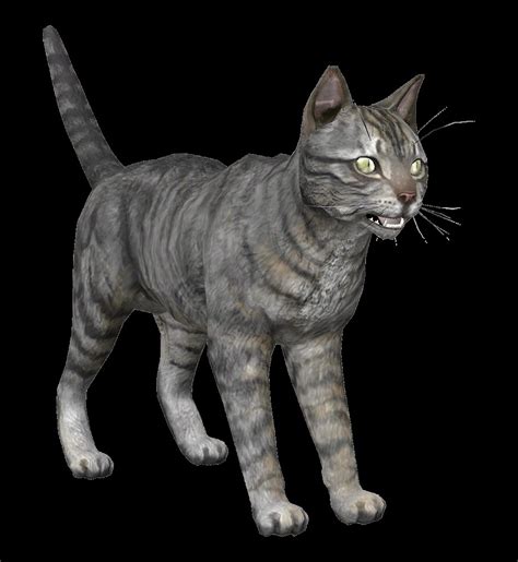 Создать мем "движущие кошки, 3д модель кошки, кошка 3д" - Картинки ...
