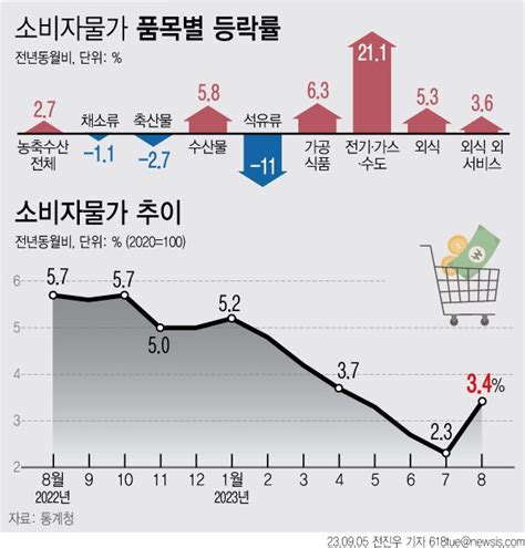 농식품부 기상 탓에 채소·과일값 상승추석 물가 안정 최선 파이낸셜뉴스