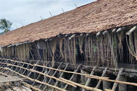 Foto Rumah Adat Jew Milik Suku Asmat Yang Hanya Dimasuki Laki Laki