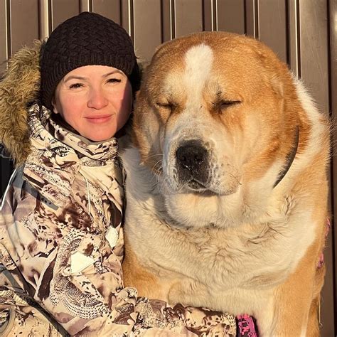 Alabaithe Central Asian Shepherd Dog Rbeamazed