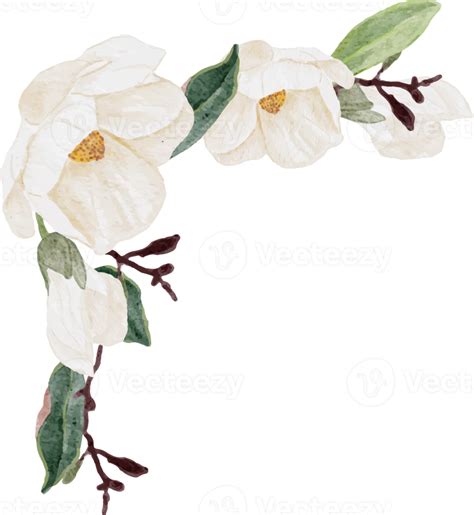 Watercolor White Magnolia Flower And Leaf Bouquet Clipart 18249968 Png