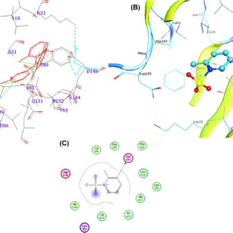 Flow Cytometric Cell Cycle Analysis Of Ags And Caco Cells After H