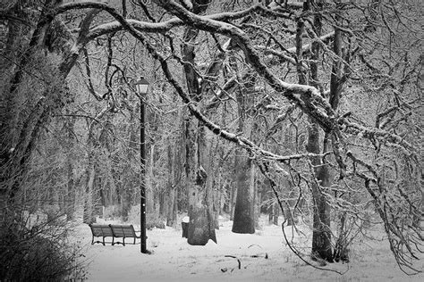 Narnia Like Winter Scene Winter Scenes Narnia Scene