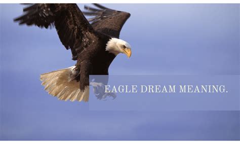 Biblical Meaning Of Eagle In Dreams Archives Meltblogs