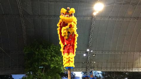 Best Acrobatic Lion Dance By Binh Duong Vietnamese Lion And