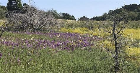 Tx State Park Album On Imgur