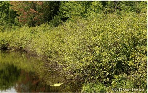 Mille Lacs Soil Water Conservation District Assisting Area People