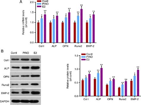 Figure From Pinoresinol Promotes Mc T E Cell Proliferation And