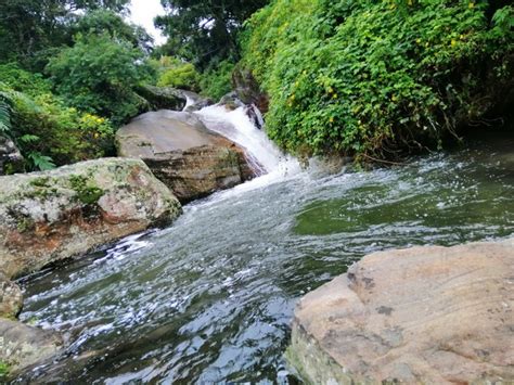 Best Things At Kolapathana Waterfall Nuwara Eliya