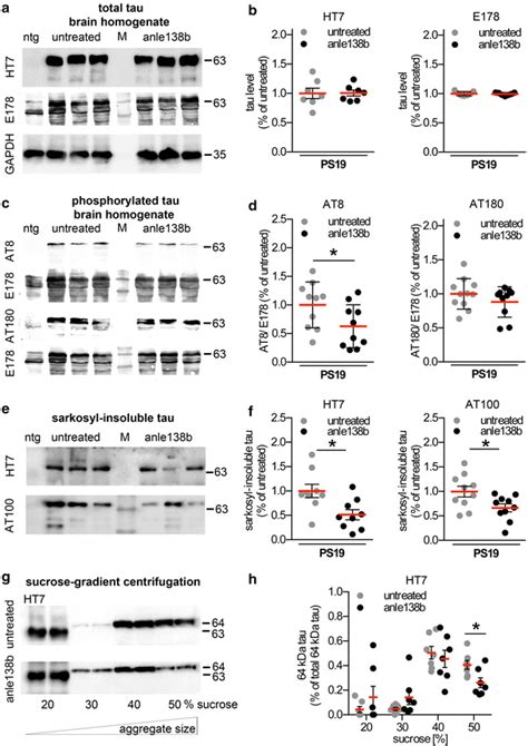 Anle B Reduces Insoluble Tau Levels In Ps Mice A Immunoblots Of