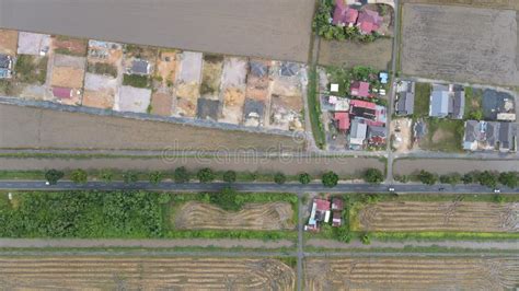 The Paddy Rice Fields Of Kedah Malaysia Stock Image Image Of Grow