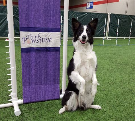 uw milwaukee paws 10