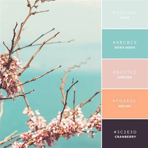 Unique And Memorable Color Palettes To Inspire You Design You Trust