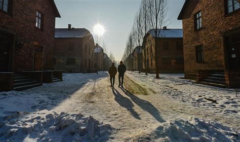 Как сегодня выглядит Аушвиц-Биркенау? | Статья | Culture.pl