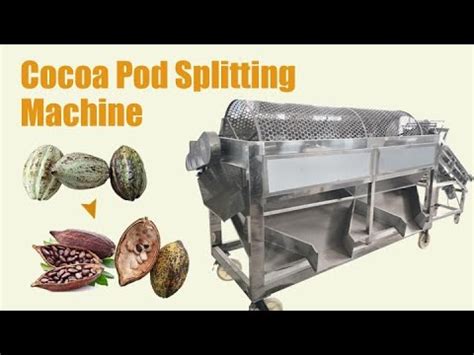 Cocoa Pod Splitting Machine Cocoa Pod Cracking And Peeling Youtube