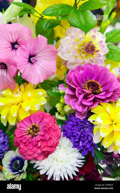 Floral Bouquet Mixed Flowers Stock Photo Alamy