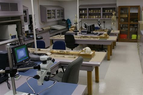 Forensic Anthropology - Center for Human Identification